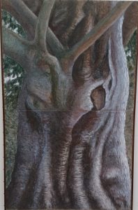 欅の巨木（中美展）
